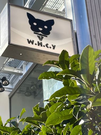 ܺٵ;1Хȡ䡡WHC