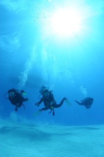 �ܺ٥���Х��ȵ�;���1������Х��ȡ��ܵҡ�������ҥե����֥��ơ���