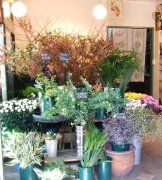 �ܺ٥���Х��ȵ�;���1������Х��ȡ��ե�����åס�FS���ȥ쥢