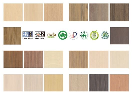 ܺٵ;1ҰˡڱĶȥޥ͡㡼/ȳȯۻȤϤ褦Ȥ롡ʤءKeding Enterprises Co., Ltd.
