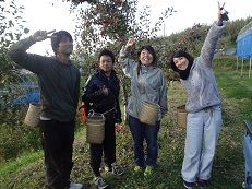 �ܺٵ�;���1�ʥ���Х��ȡ˴��Ķȡ��ޡ����ƥ��󥰡����䡦���������դ���̳��������ҥ���ǥ��饤����